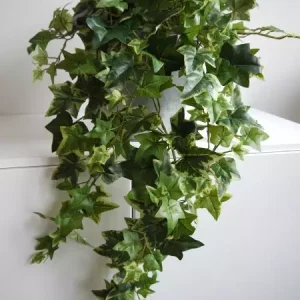 Hängande konstgjord murgröna med ljus och mörkgröna blad